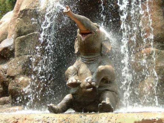 an elephant having fun